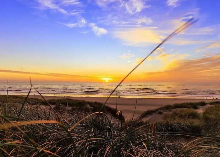 4 Personer - Henne *